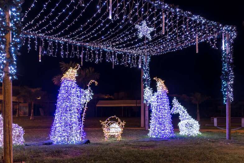 Nacimiento en Carrizal de Ingenio (Foto José Fco. Fernández Belda)